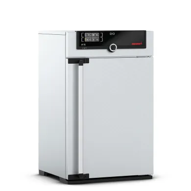Memmert IF75plus Forced Circulation Incubator 74L, 115V