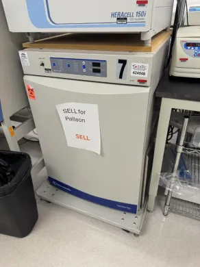 Thermo Fisher Scientific Isotemp Digital Laboratory Incubator