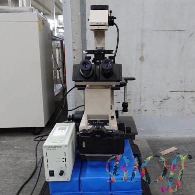 Olympus IMT-2 Inverted Routine Microscope-cover