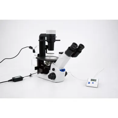 Olympus CKX53 Trino Inverted LED Fluorescence Microscope with UV Illumination