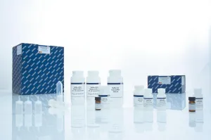 Qiagen QIAamp DNA Mini Kit, 3 of 4