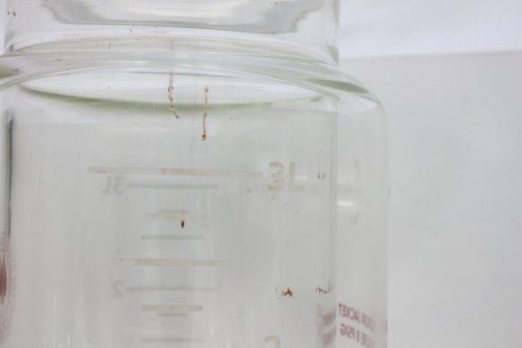 Ace Glass 3L Cylindrical Jacketed Borosilicate Reaction Flask for Chemistry Applications-cover