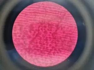 Motic AE21 Series Trinocular Inverted Microscope with Objectives, 13 of 28