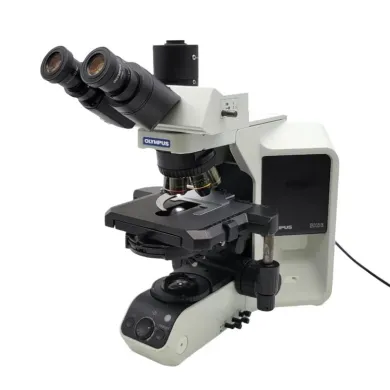 Olympus BX53 Upright Microscope with Fluorite Objectives, Phase Contrast, and Trinocular Head