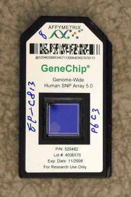 Affymetrix Genome-Wide Human SNP Array 5.0