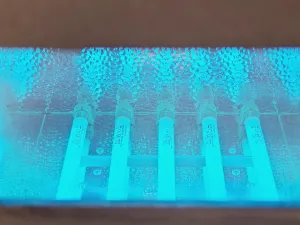 Vilber BLX-365 UV Crosslinker for DNA and Molecular Biology Applications, 13 of 14