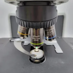 Olympus BX43 Microscope with Fluorite Objectives, Trinocular Head, and Dual Bridge for Pathology, 6 of 7