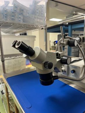 Luxo Stereo Microscope with Schott ACE 1 Illumination and Binocular Eyepieces-cover