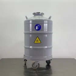 Air Liquide BT 40 Liquid Nitrogen Dewar, 2 of 8