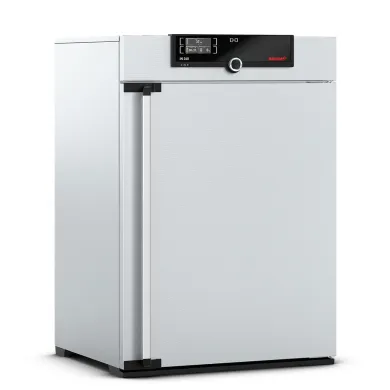 Memmert IN260 Natural Convection Incubator 256L, 115V