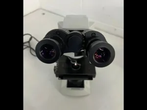 Olympus CX41RF Binocular Upright Microscope with Plan Objectives and Halogen Illumination, 9 of 19