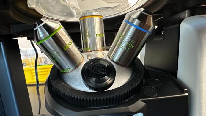 Olympus CKX53 Inverted Microscope for Cell Culture Observation-cover