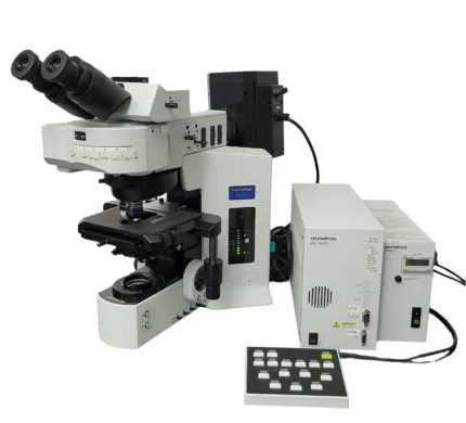 Olympus BX61 Motorized Fluorescence Microscope with FISH Capability