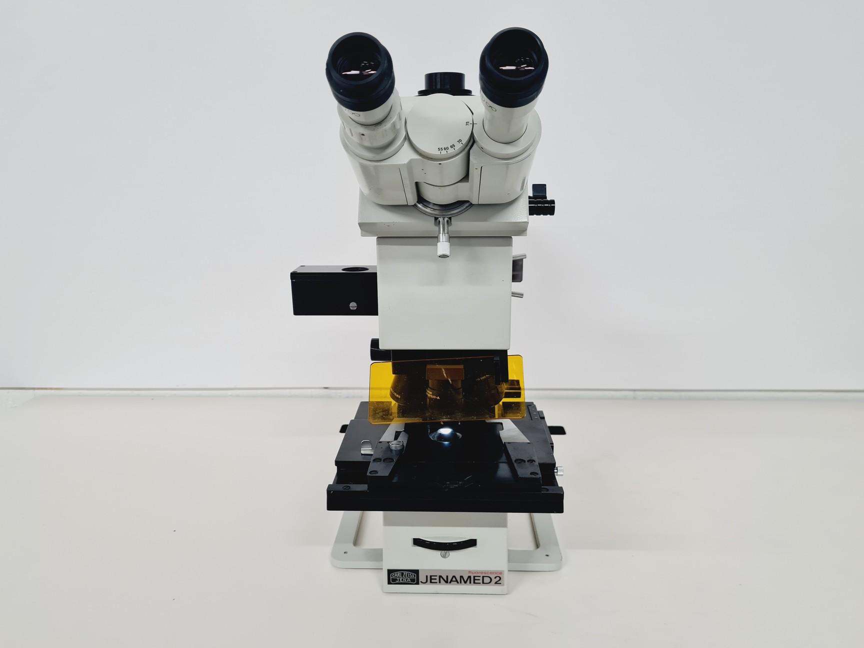 Carl Zeiss Jenamed 2 Microscope with 5 Objectives