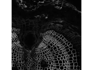 Thermo Scientific CellInsight CX7 LZR Confocal High Content Analysis Platform, 7 of 21