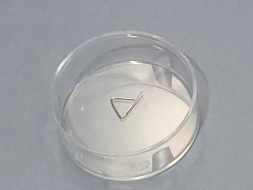 ZWIEBEL 10mg Calibration Weight E2 Class