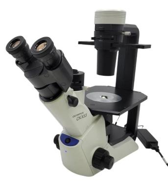 Olympus CKX53 Inverted Microscope with Phase Contrast-cover