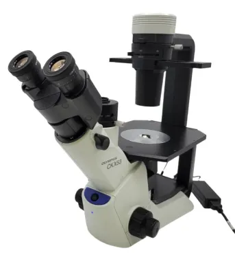 Olympus CKX53 Inverted Microscope with Phase Contrast