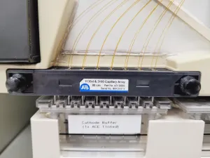 Applied Biosystems Prism 3100 Capillary Electrophoresis Genetic Analyser, 8 of 16