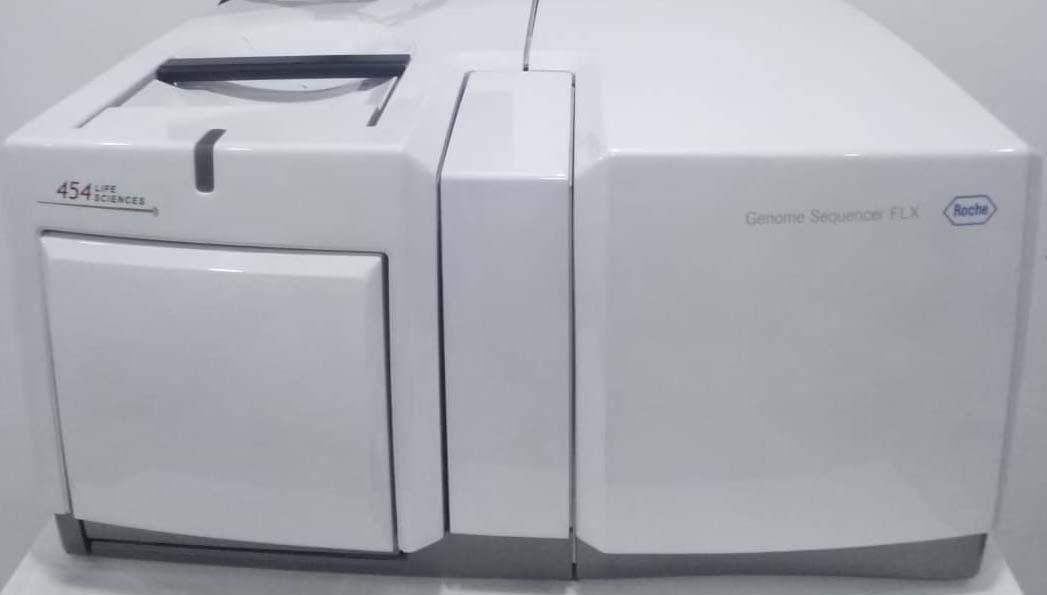 Roche GS FLX System