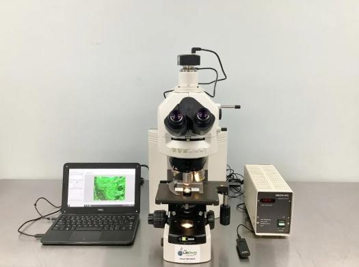 Nikon Eclipse 80i Research Fluorescence Microscope with Digital Imaging Head and CFI60 Optics-cover