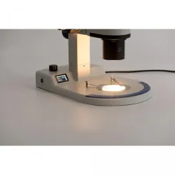 Accu-Scope LED Stereoscope Stand with Focus Mount and Variable LED Illumination, 3 of 6