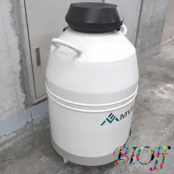 MVE SC 36/32 Liquid Nitrogen Storage Dewar with Caster Dolly, 2 of 5