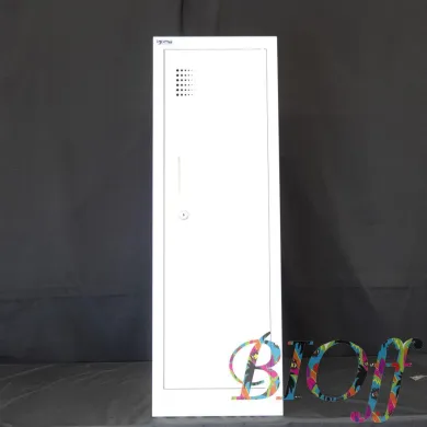 Ceha Model 6709 Single-Person Locker, W30×D50×H90 cm, Services