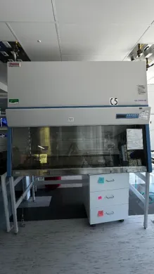 Thermo Scientific 1300 Series A2 Biological Safety Cabinet, 6ft