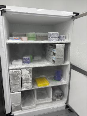 Thermo Fisher Scientific TSX60086A -80°C Ultra Low Temperature Freezer with Touchscreen Control-cover