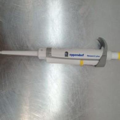 Eppendorf Research Plus 20 Micropipette, 2–20 µL, Refurbished, Autoclavable-cover