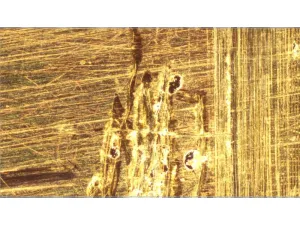 Zeiss AXIO Observer.Z1m Inverted Reflected-Light Motorized Metallurgical Microscope, 5 of 35