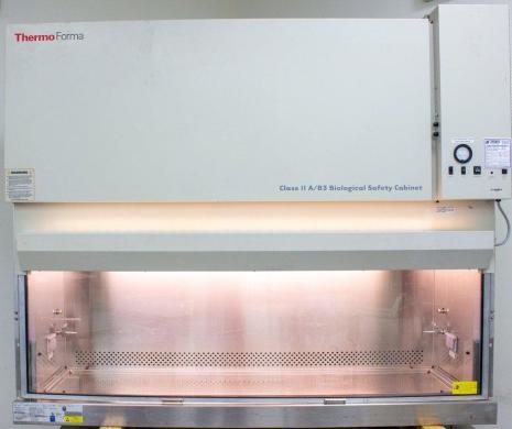 Thermo Forma 1248 Class II A/B3 Biological Safety Cabinet-cover