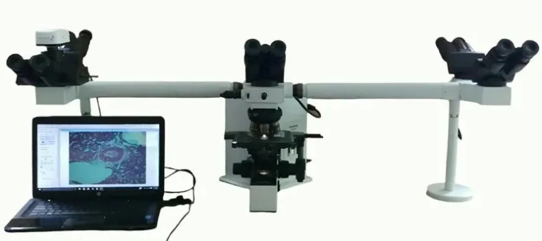 Olympus BX50 Teaching Multihead Microscope with Apos and Pathology Features