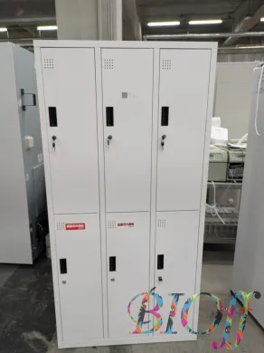 6113 Smile Changing Room Locker 3-Column 2-Tier 6-Person Cylinder Lock