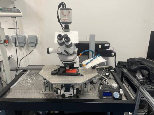 VivoTM 100 Intravital Microscope System - Zeiss Examiner Z1-cover