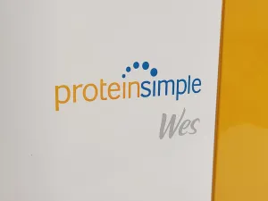 ProteinSimple Wes Automated Western Blot Protein Analyser System, 10 of 10