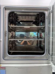 Thermo Fisher Scientific Forma Steri-Cult CO2 Double Stack Incubator Model 3310, 4 of 4