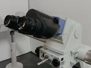 Nikon Eclipse E400 Multihead Compound Microscope with Teaching System, 12 of 12