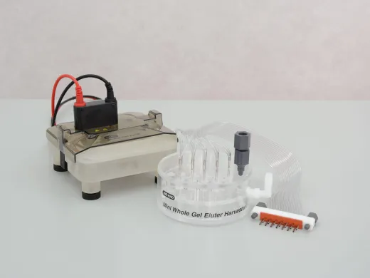 Bio-Rad Mini Whole Gel Eluter Electrophoretic System