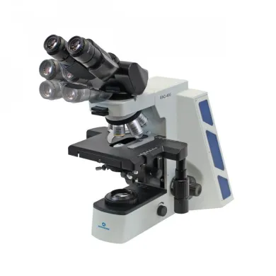 Accu-Scope EXC-400 Ergo Binocular Microscope with Plan Achromat Objectives