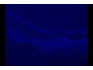 Zeiss Axiovert 200m Inverted Motorized Fluorescence Phase Contrast Microscope, 12 of 19