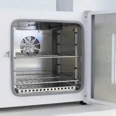 Biobase BJPX-HGZ138 Forced Air Drying Oven with 138L Capacity and Precise Temperature Control