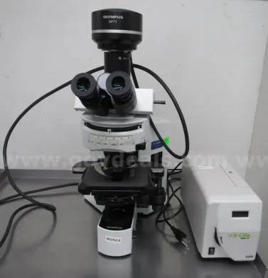OLYMPUS DP71