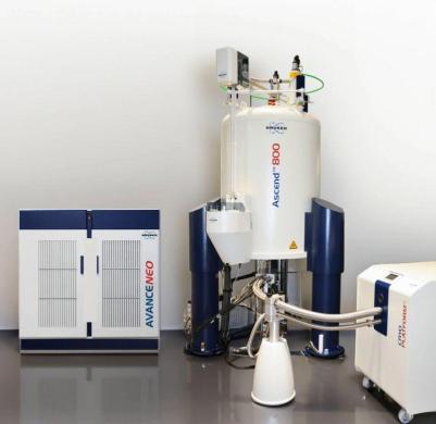 Bruker AVANCE NEO 800 MHz | QuestPair
