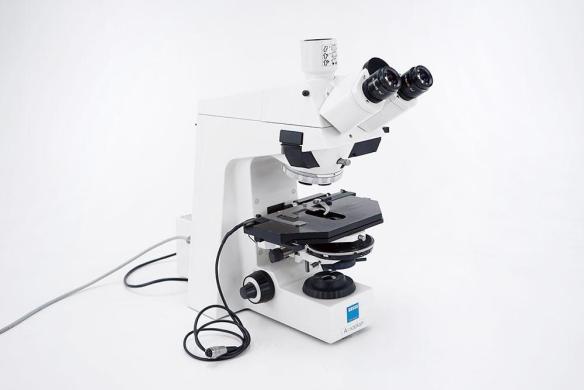 Zeiss Axioplan Trinocular Microscope Body with 2x PL10x/25 Eyepieces and HAL100 Halogen Illumination