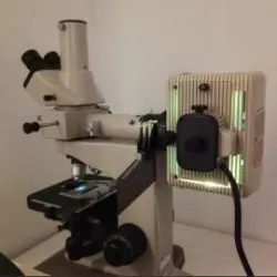 Nikon Labophot 2 Fluorescence Microscope with Binocular Head and Mechanical Stage, 9 of 13