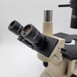 Olympus CK2 Inverted Microscope with Phase Contrast and Trinocular Head for Tissue Culture, 6 of 7