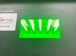 UVP Crosslinker CL1000 Ultraviolet DNA/RNA Crosslinker with Programmable UVC Exposure, 5 of 12