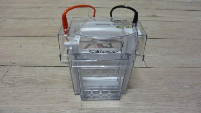 Invitrogen XCell SureLock Electrophoresis Cell-cover